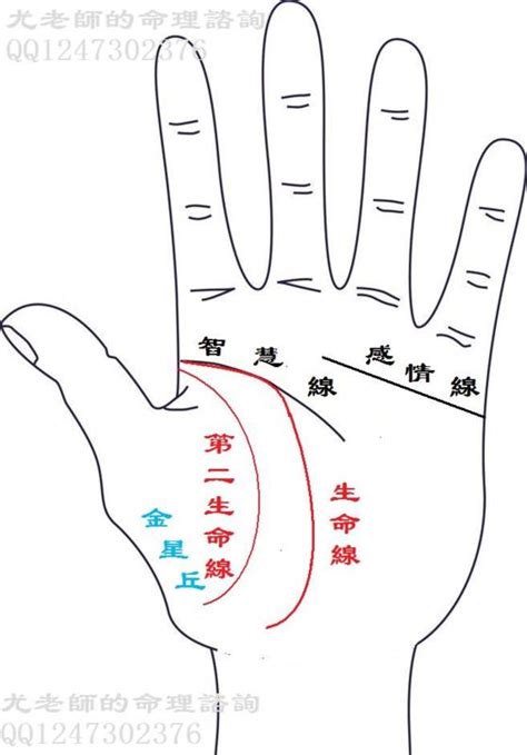 2條生命線|手相解讀兩條生命線